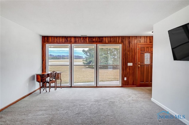 empty room featuring carpet flooring, wood walls, and baseboards