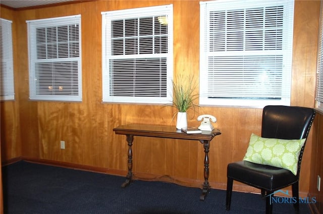 living area featuring carpet floors and wood walls