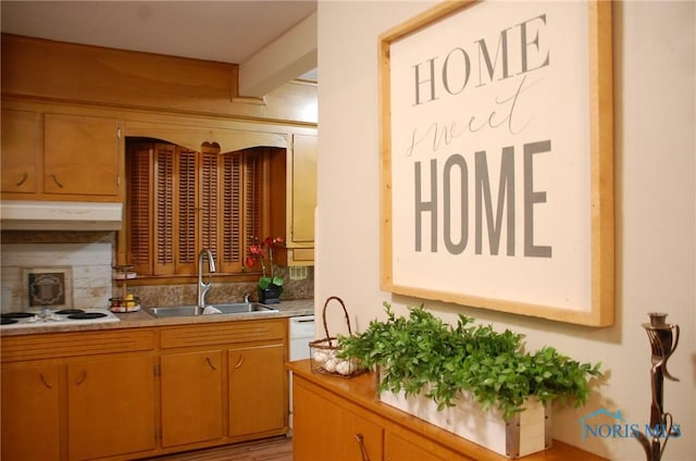 kitchen with white electric cooktop, under cabinet range hood, light countertops, and a sink