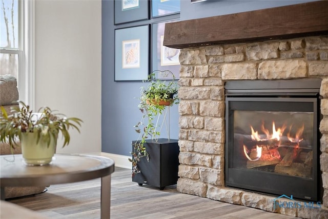 details with a lit fireplace, baseboards, and wood finished floors