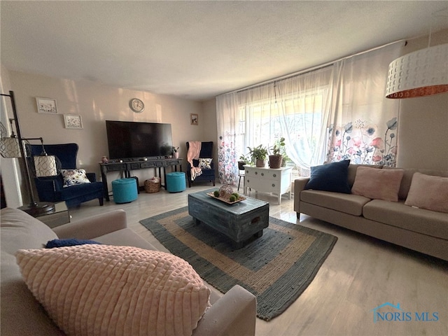 living area featuring a textured ceiling and wood finished floors