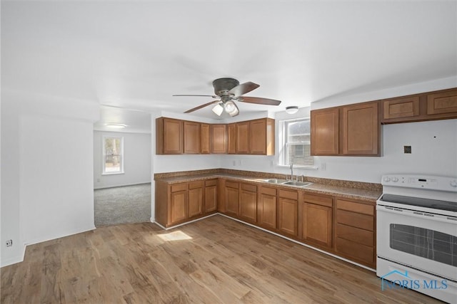 kitchen with ceiling fan, a sink, brown cabinets, light wood finished floors, and white electric range oven