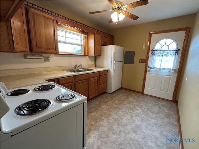 kitchen featuring light countertops, electric panel, brown cabinetry, white appliances, and a sink