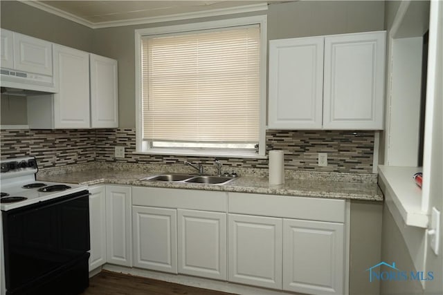 kitchen featuring tasteful backsplash, electric range oven, white cabinetry, a sink, and under cabinet range hood