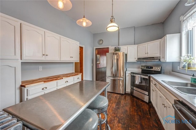 kitchen with white cabinetry, under cabinet range hood, dark wood-style floors, and stainless steel appliances