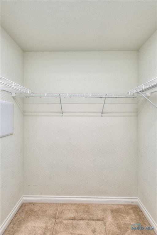 spacious closet featuring light colored carpet