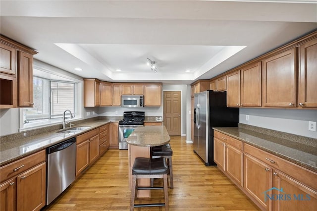 kitchen with a sink, light wood finished floors, appliances with stainless steel finishes, and a tray ceiling