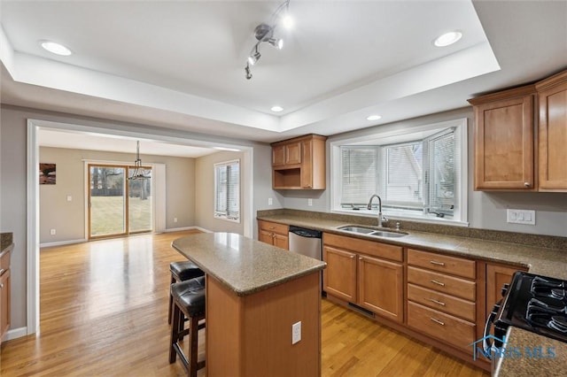 kitchen with light wood-style flooring, a sink, black gas stove, dishwasher, and a tray ceiling