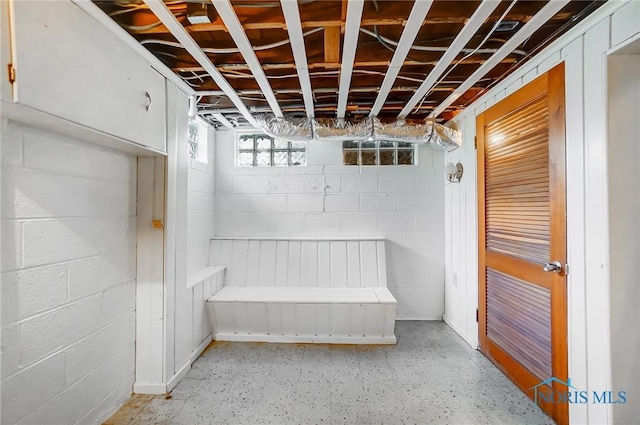 below grade area featuring concrete block wall
