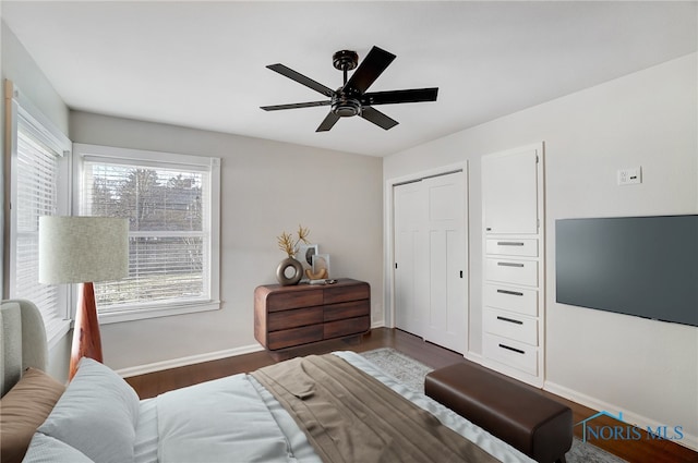 bedroom featuring baseboards, multiple windows, ceiling fan, and dark wood-type flooring