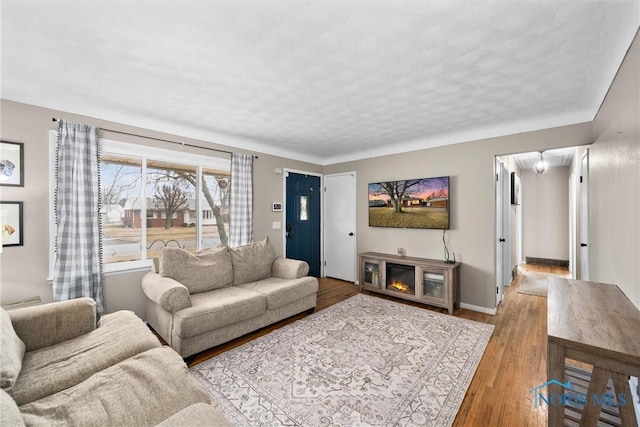 living room with baseboards, wood finished floors, and a glass covered fireplace