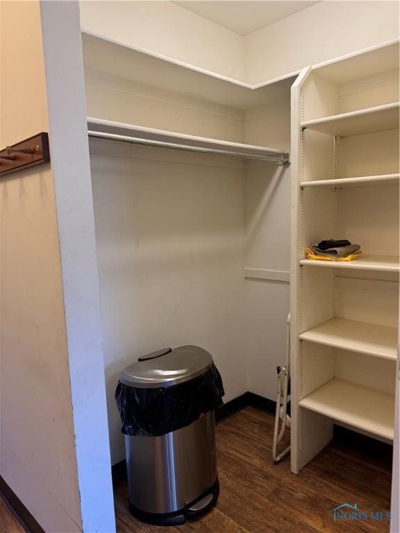 walk in closet featuring dark wood-type flooring