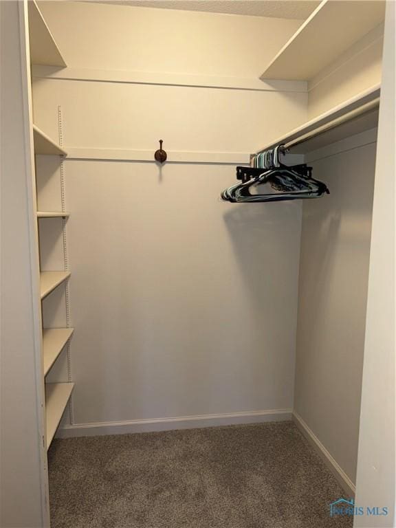 walk in closet with carpet floors