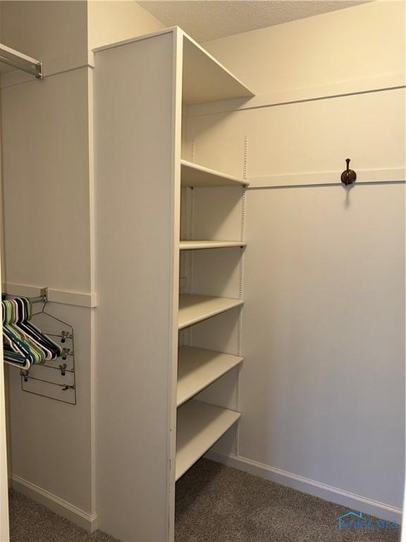 spacious closet with carpet