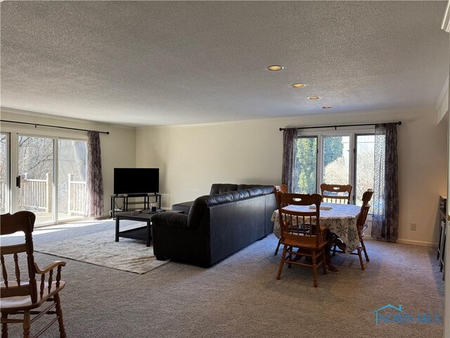 living area featuring a healthy amount of sunlight, carpet flooring, a textured ceiling, and baseboards