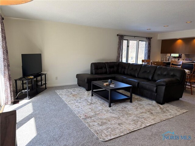 carpeted living room with baseboards and a textured ceiling