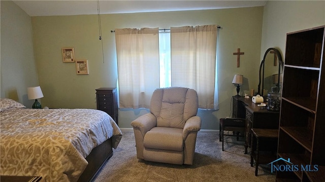 view of carpeted bedroom