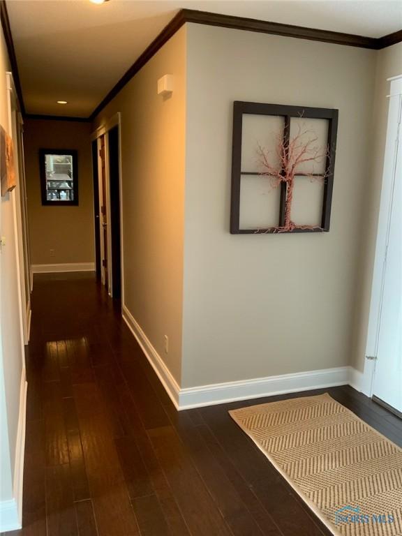 hall with dark wood-style flooring, baseboards, and ornamental molding