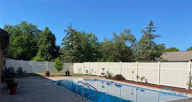 view of pool featuring a patio, a fenced backyard, and a fenced in pool