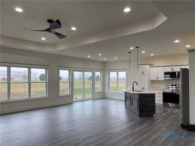9641 Early Dr, Findlay, OH 45840 - kitchen featuring dark wood-style flooring, a sink, stainless steel appliances, light countertops, and open floor plan