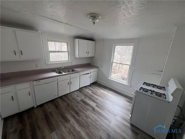 kitchen with a healthy amount of sunlight, dark wood-style floors, white dishwasher, a sink, and a textured ceiling