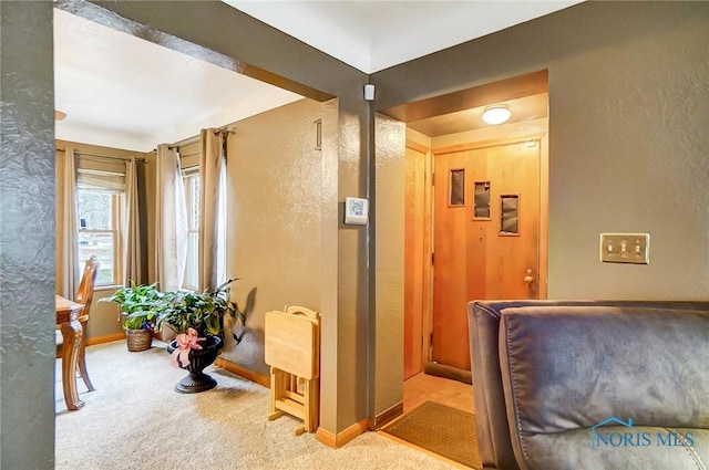 hall with baseboards, carpet, and a textured wall