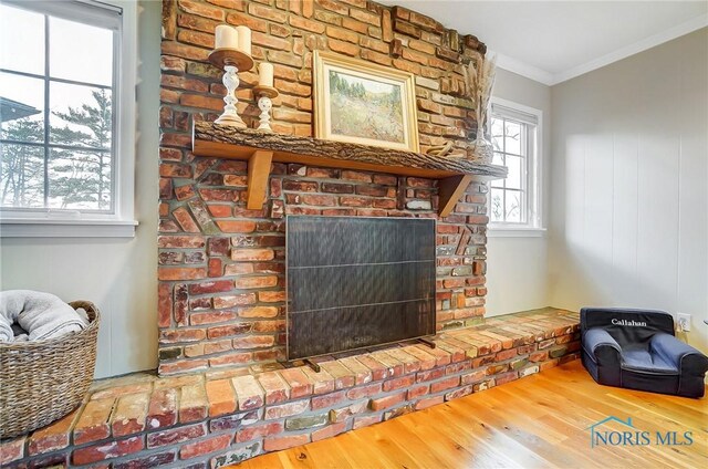 interior details featuring wood finished floors, a fireplace, and ornamental molding