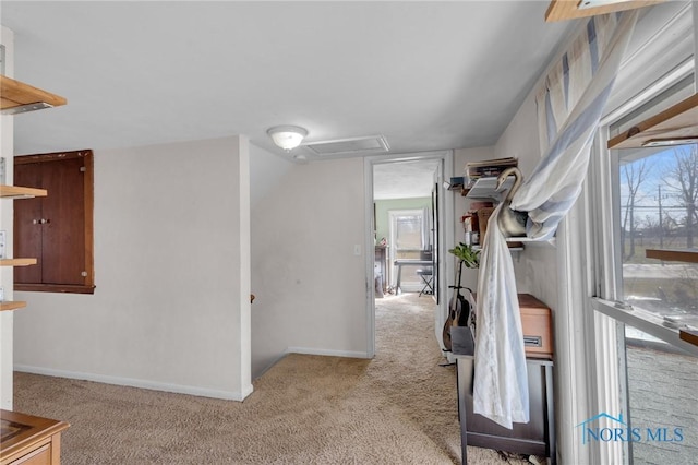 10243 S Dixie Hwy, Portage, OH 43451 - walk in closet with attic access and light colored carpet
