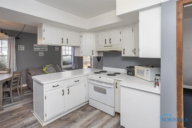 kitchen with under cabinet range hood, light wood-style flooring, white appliances, and a healthy amount of sunlight