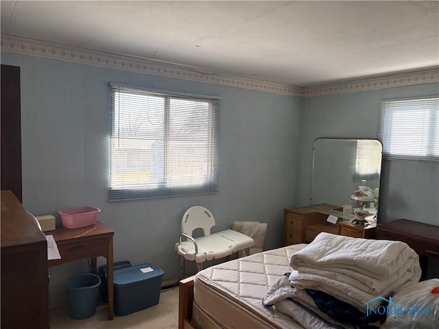 bedroom featuring light carpet