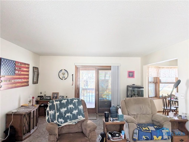 carpeted living room with a textured ceiling