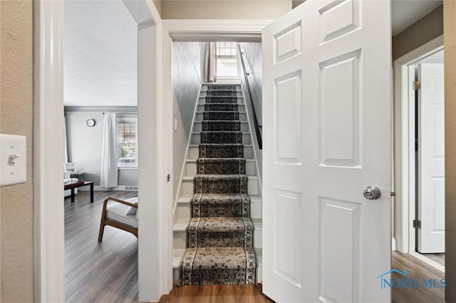 stairs with a healthy amount of sunlight and wood finished floors