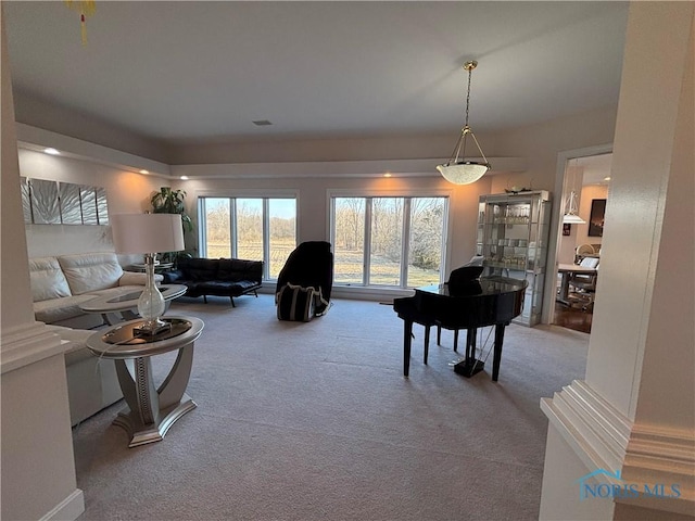 living area with carpet floors