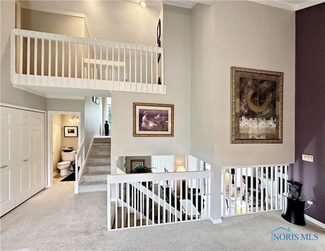 stairs with a towering ceiling, baseboards, and carpet floors