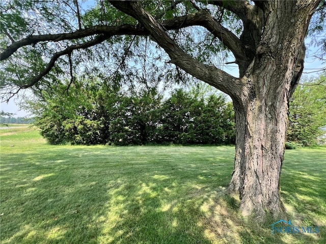 16982 State Route 613, Bloomdale, OH 44817 - photo 8