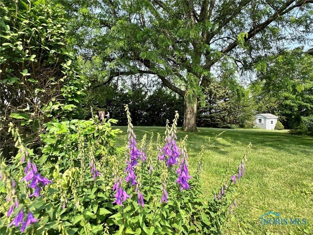 16982 State Route 613, Bloomdale, OH 44817 - photo 14