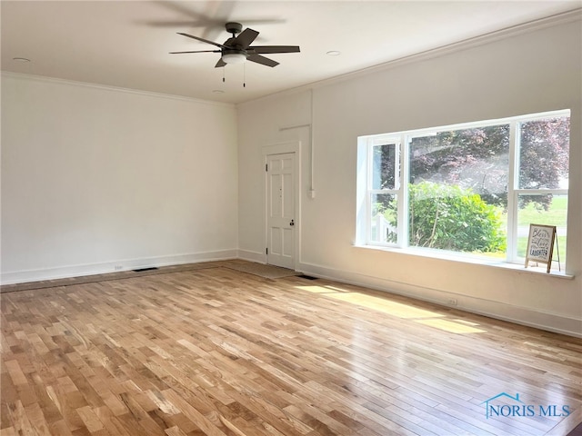 16982 State Route 613, Bloomdale, OH 44817 - photo 23