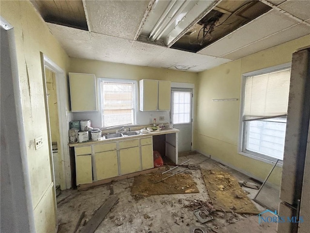 kitchen featuring light countertops and a sink