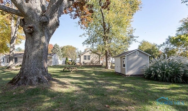 view of yard featuring a storage shed and an outdoor structure