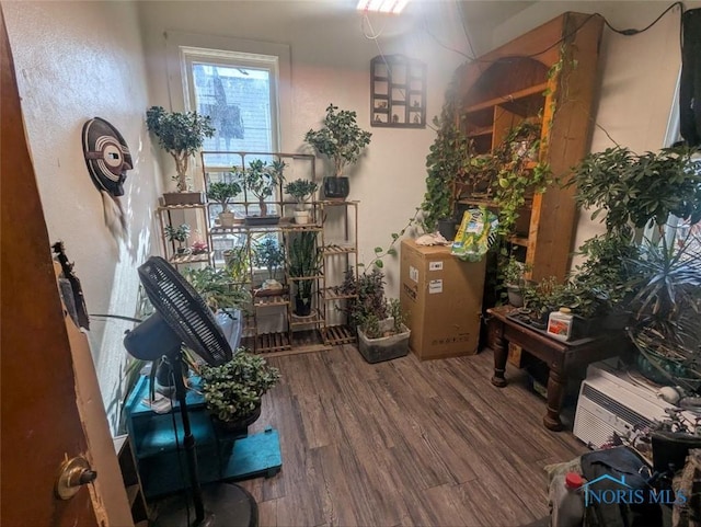 living area with wood finished floors