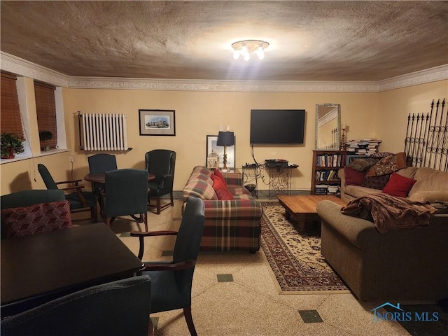 living area featuring a textured ceiling and ornamental molding