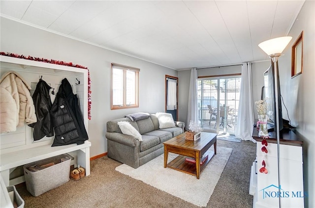 living area featuring carpet and ornamental molding