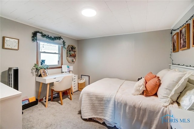 bedroom with light carpet