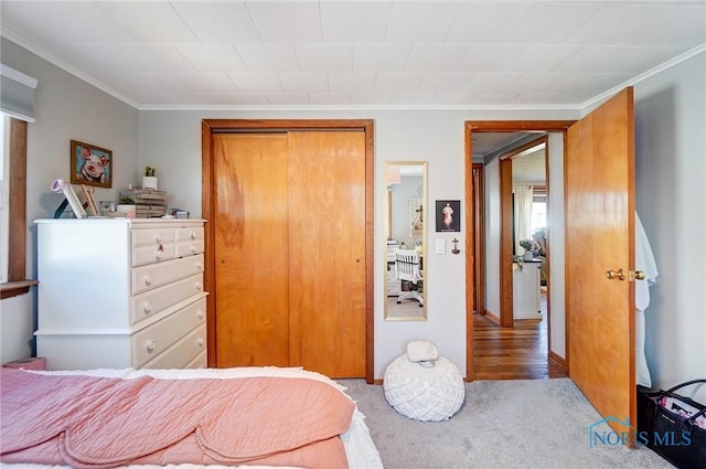 bedroom with carpet flooring, a closet, and ornamental molding