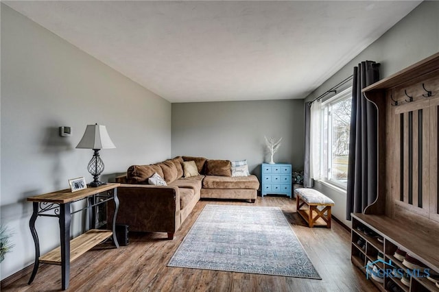 living room featuring wood finished floors