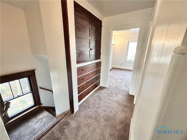 hallway with baseboards and carpet