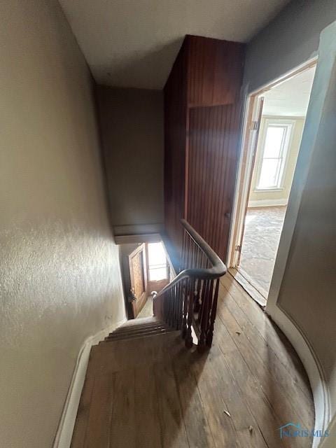 stairway with hardwood / wood-style flooring