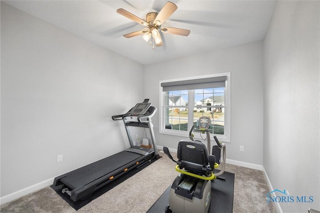 exercise room featuring carpet flooring, a ceiling fan, and baseboards