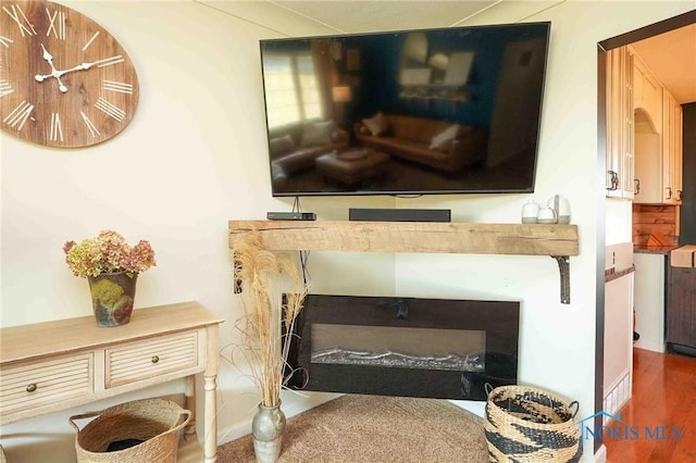 room details with a glass covered fireplace and wood finished floors