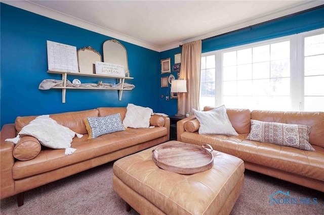 living room with carpet and ornamental molding